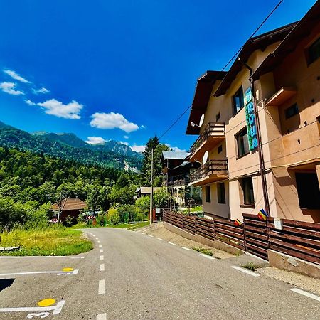 Pensiunea Roua Sinaia Dış mekan fotoğraf