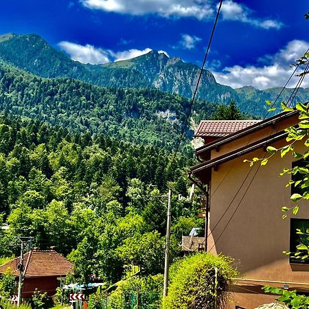 Pensiunea Roua Sinaia Dış mekan fotoğraf