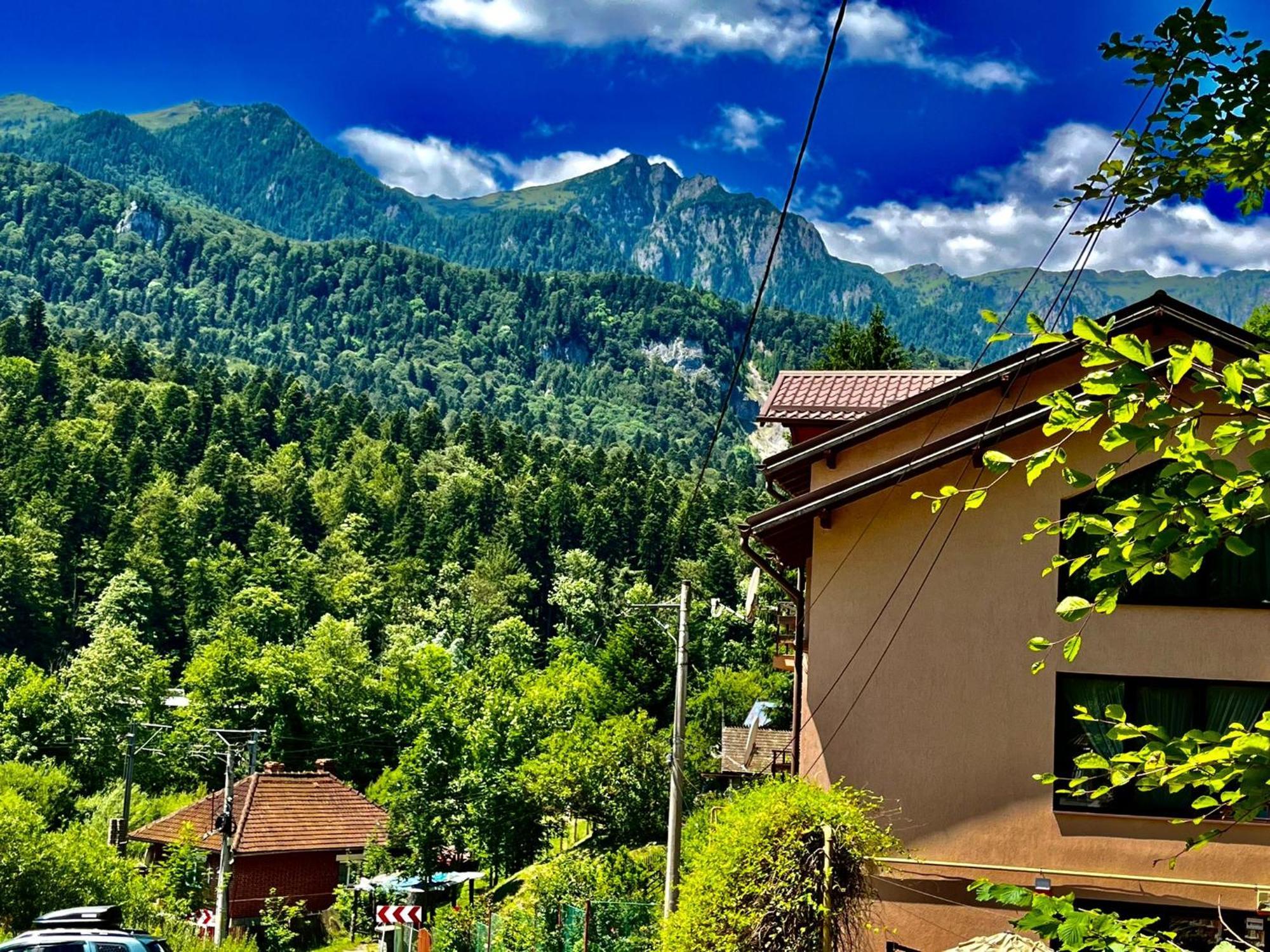 Pensiunea Roua Sinaia Dış mekan fotoğraf