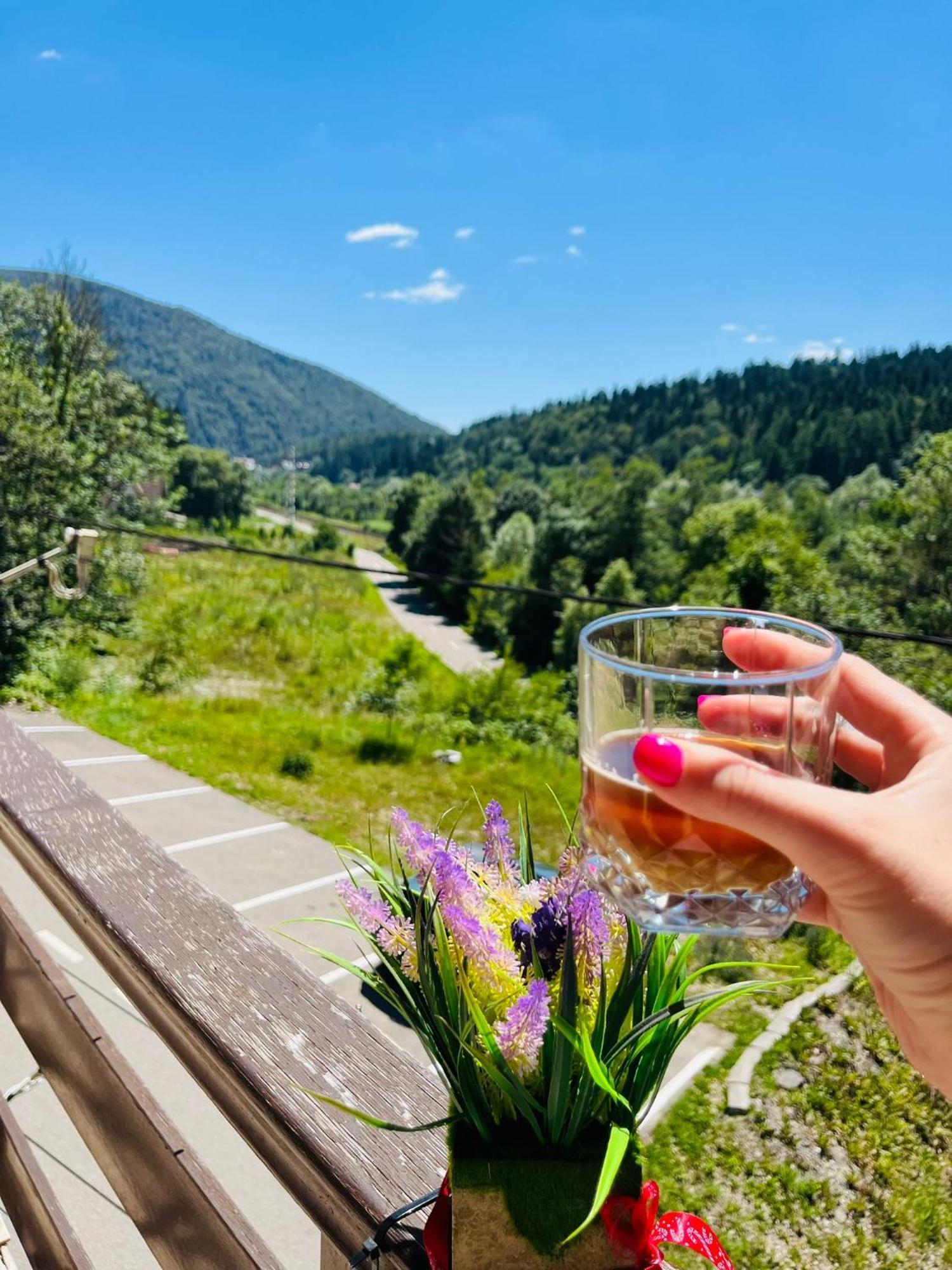 Pensiunea Roua Sinaia Dış mekan fotoğraf